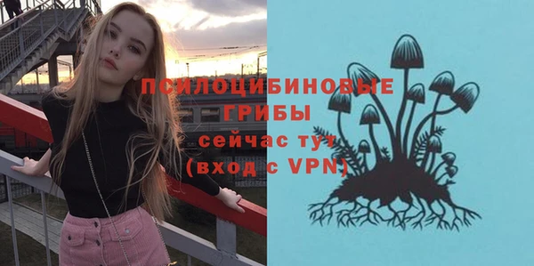 твердый Арсеньев
