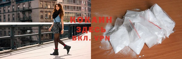 твердый Арсеньев