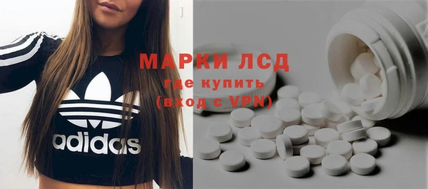 твердый Арсеньев