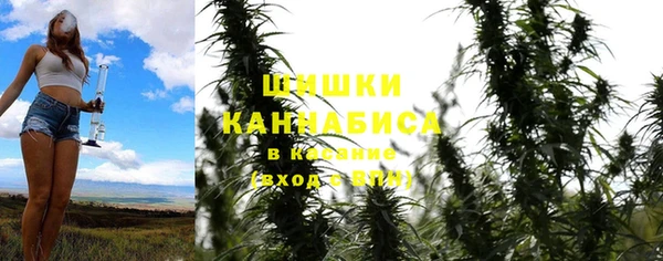 твердый Арсеньев